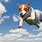 Dog Flying in the Sky