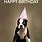 Dog Saying Happy Birthday Meme