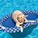 Dog Swimming Pool Floats