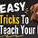 Dog Tricks to Teach