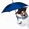Dog with Umbrella