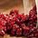 Dried Cranberries