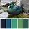 Duck Green Colour