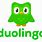 Duolingo New Logo
