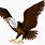 Eagle Cliafrty