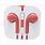 EarPods Color Design iPhone Headset