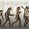 Early Man Evolution