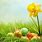 Easter Flowers Background