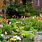 Easy Backyard Flower Gardens