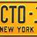 Ecto 1 Plate