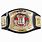 Edge WWE Championship Belt