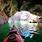 Emerald Cave Colorado River