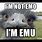 Emo Emu Meme