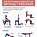 Exercises for Lumbar Spinal Stenosis