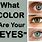 Eye Color Trait