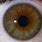 Eye Iris Ring