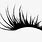 Eye Lashes for Logo No Background