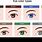 Eye Pupil Color