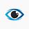 Eyes Logo Design Photografy