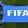 FIFA Flag