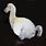 Facts About Dodo Birds