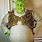 Fat Shrek Costume