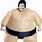 Fat Sumo Suit