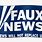 Faux News Logo
