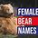 Female Bear Names