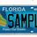 Florida DMV License Plates