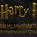 Font of Harry Potter