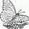 Free Butterfly Coloring