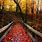 Free Fall Desktop Wallpaper Autumn Scenes