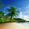 Free Tropical Beach Scenes