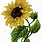 Free Vintage Printable Sunflower