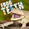 Frog Teeth Images