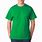 Fruit of the Loom Green Shirt