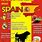 Fun Facts About Spain for Kids