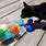 Fun Homemade Cat Toys