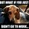 Funny Beagle