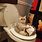 Funny Cat On Toilet