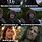 Funny Clean Hobbit Memes