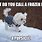 Funny Dog Memes Snow
