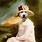 Funny Dog Portraits Painting