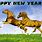 Funny Horse Happy New Year