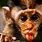 Funny Monkey Pictures Free