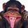 Funny Monkey Smiling Meme