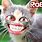 Funny Roblox Cat
