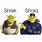 Funny Shrek Meme with Words