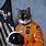 Funny Space Cat